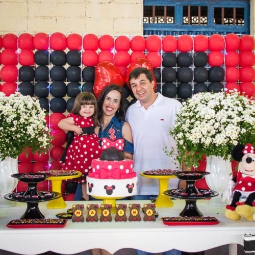 Aniversário Infantil Marina 2 anos