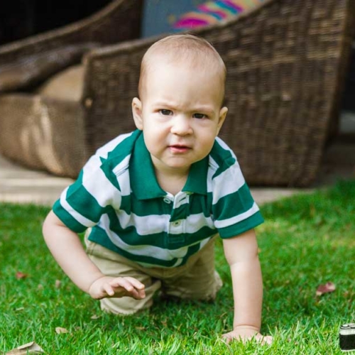 Aniversário Pedro 1 ano