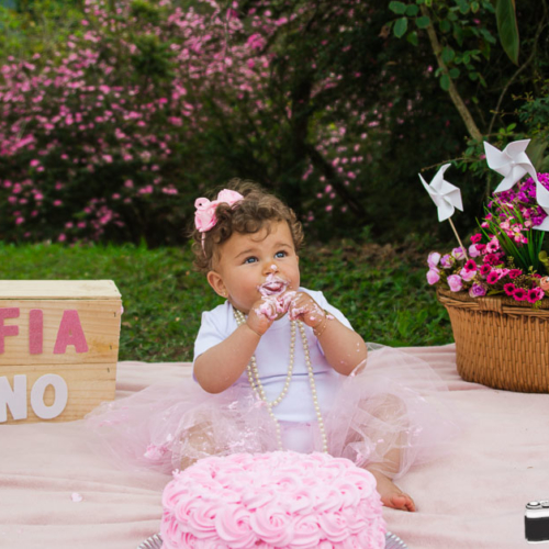 Ensaio Infantil Smash The Cake Sofia