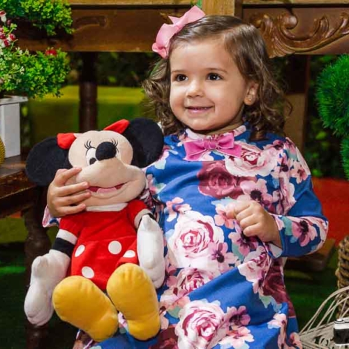 Aniversario Infantil Clara 3 anos