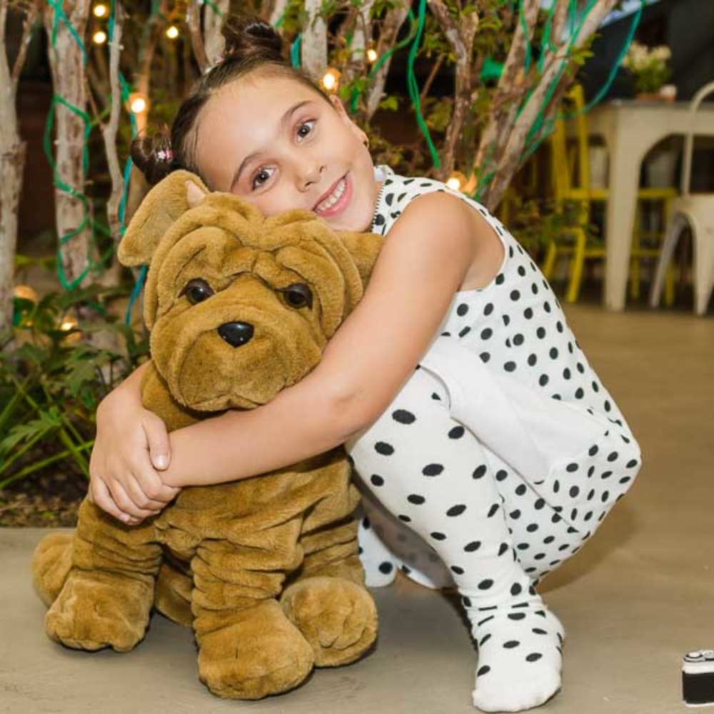 Aniversario Infantil Fefe, Laura e Marina 7 anos