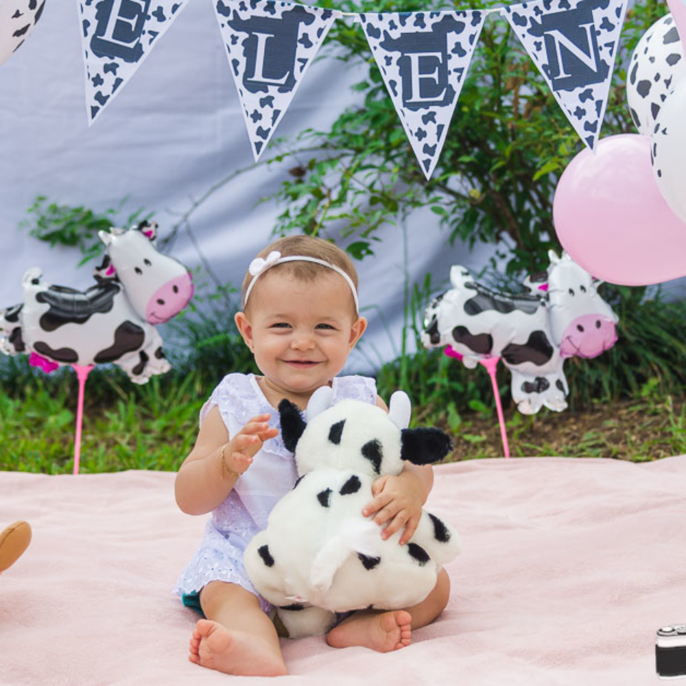 Ensaio Infantil Smash The Cake Helena