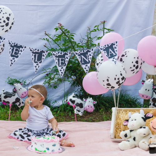 Ensaio Infantil Smash The Cake Helena