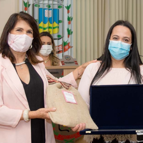 Reunião Solene na Câmara em homenagem ao dia da Mulher