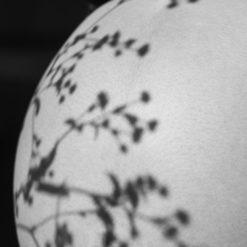 Ensaio Gestante 2024 Raiza