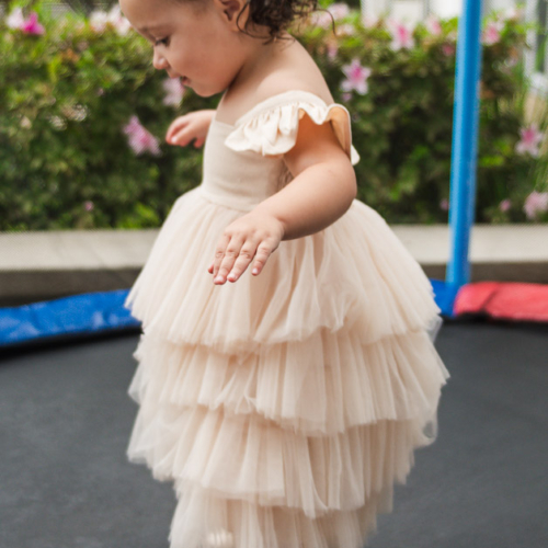 Aniversário Infantil_Stella 2 anos