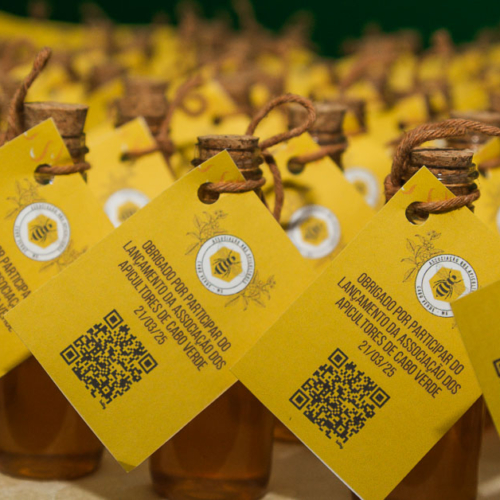 Lançamento Associação Apicultores