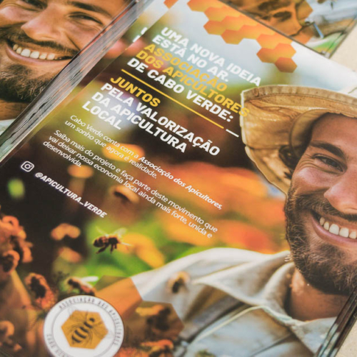 Lançamento Associação Apicultores