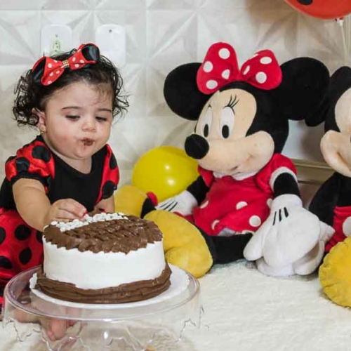 Ensaio Infantil Smash The Cake Laura