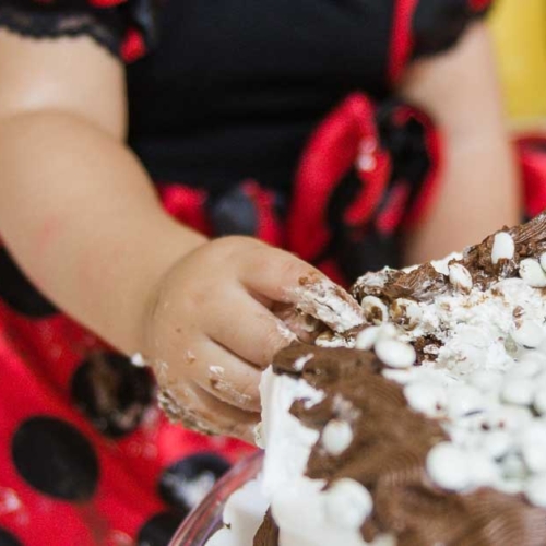 Ensaio Infantil Smash The Cake Laura
